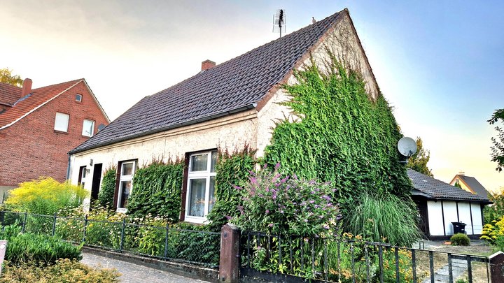 Heiß begehrt: Mehr Grün am Haus!