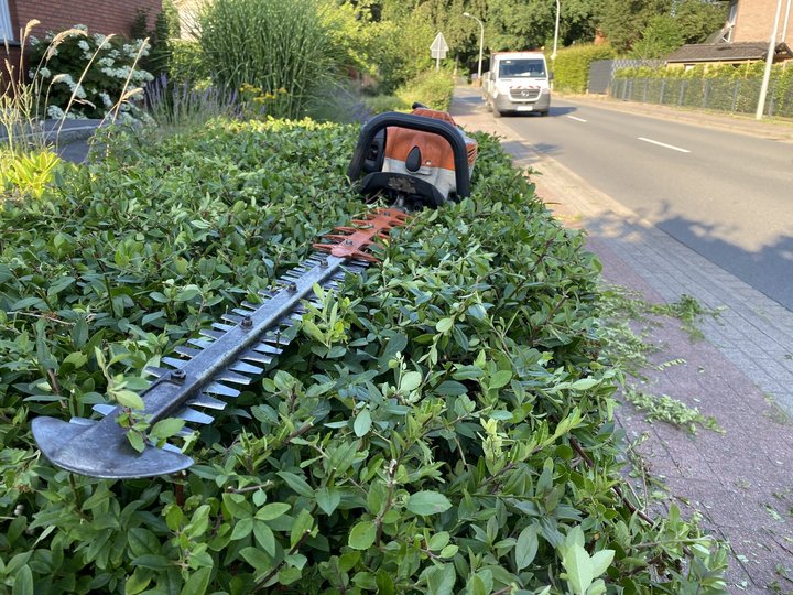 Gehwege freihalten und Natur schützen