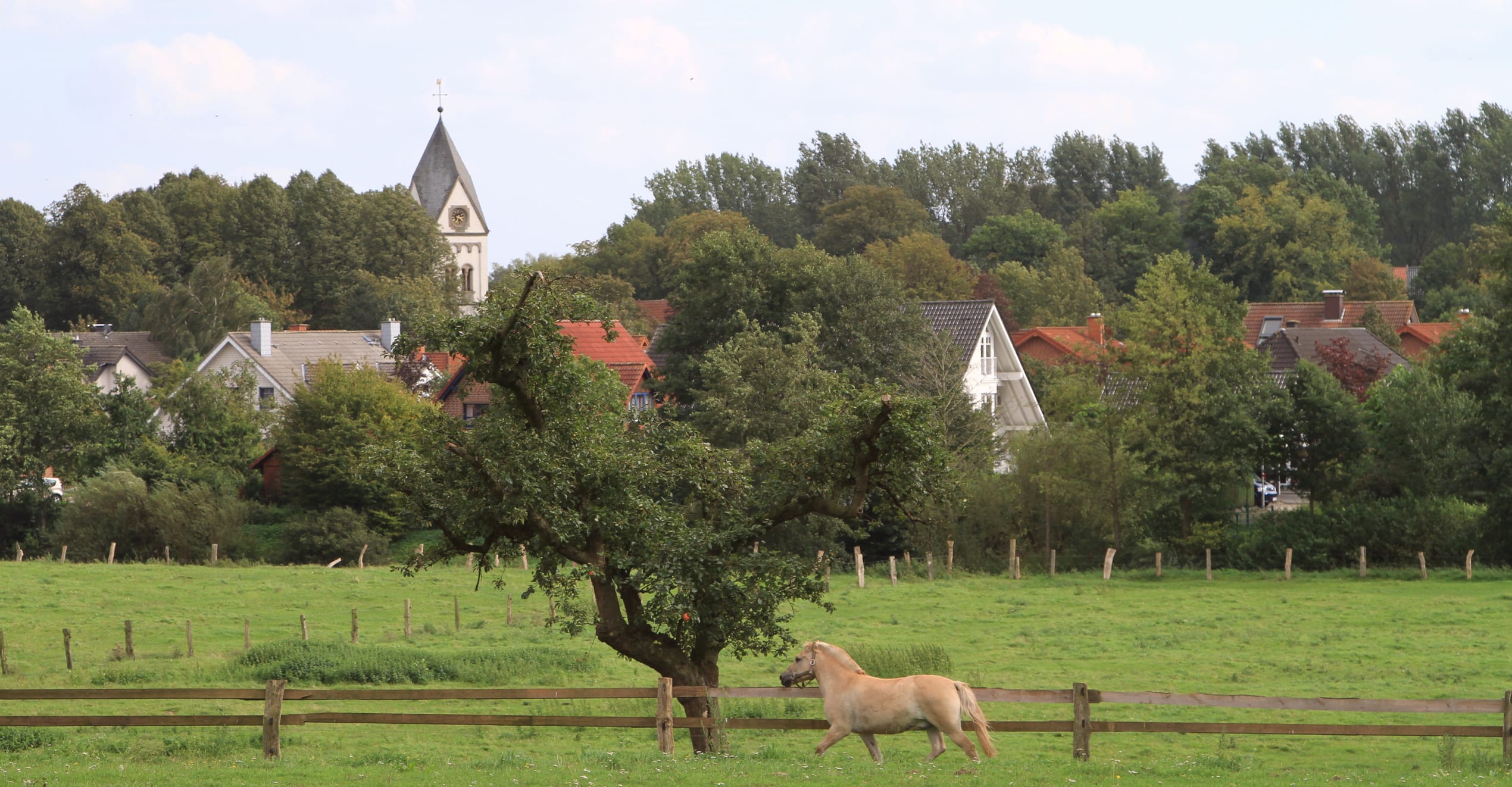 Gemeinde Lotte - kommunale Wärmeplanung